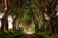 /album/fotogaleria-uvodna-stranka/bregagh-road-near-armoy-in-northern-ireland-jpg/